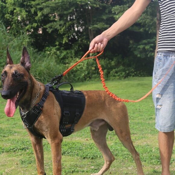 ICEFANG Tactical Dog Leash,K9 Training Walking Bungee Lead with 2 Control Handle - Picture 1 of 5
